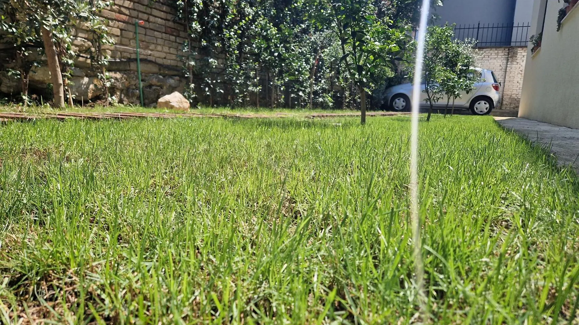 Villa Laci Apartment Tirana